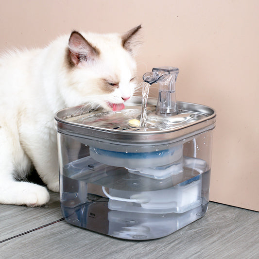 Premium Stainless Steel Pet Water Fountain
